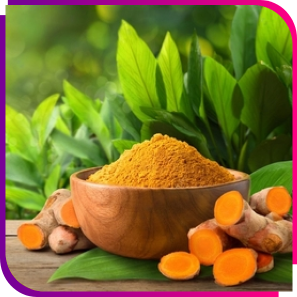 sericulture-img